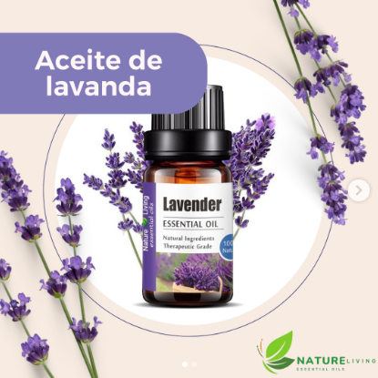 Esencias naturales para branding olfativo y creación de odotipo en Ecuador